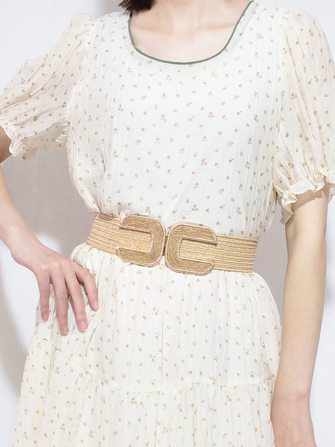 Buy Wide Braid Belt by Faz