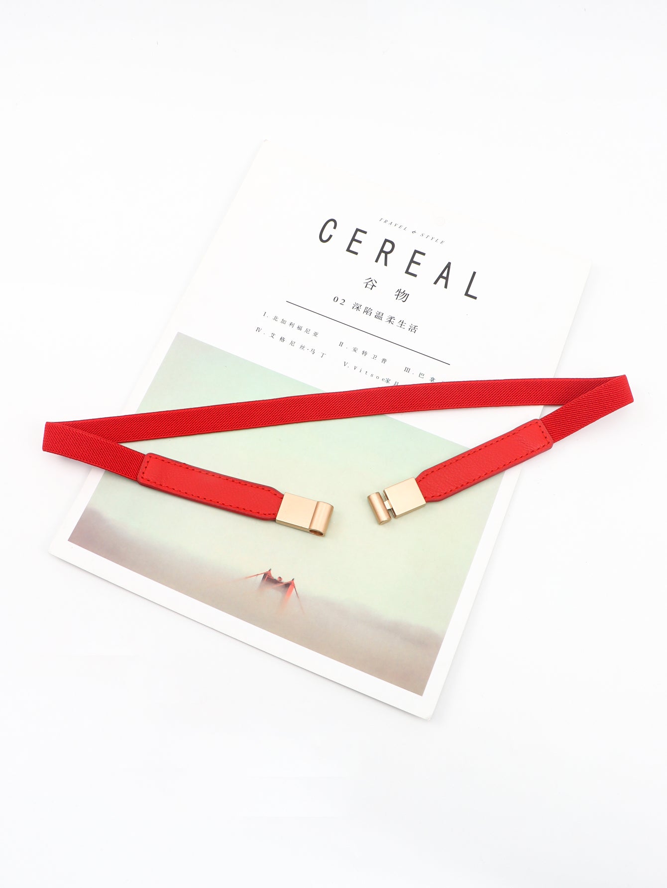 Buy PU Elastic Skinny Belt by Faz