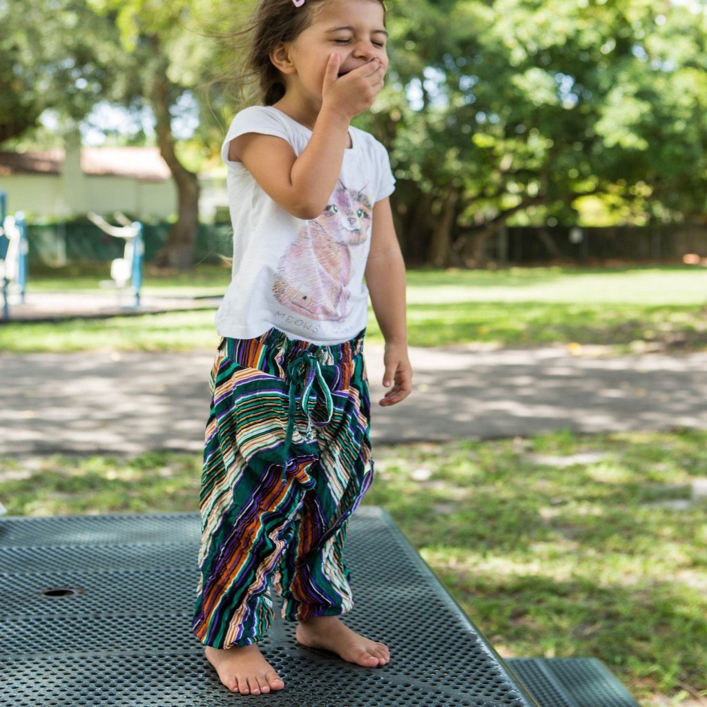 Buy Stripe Savannah Harem Pants by Buddha Pants® by Buddha Pants®