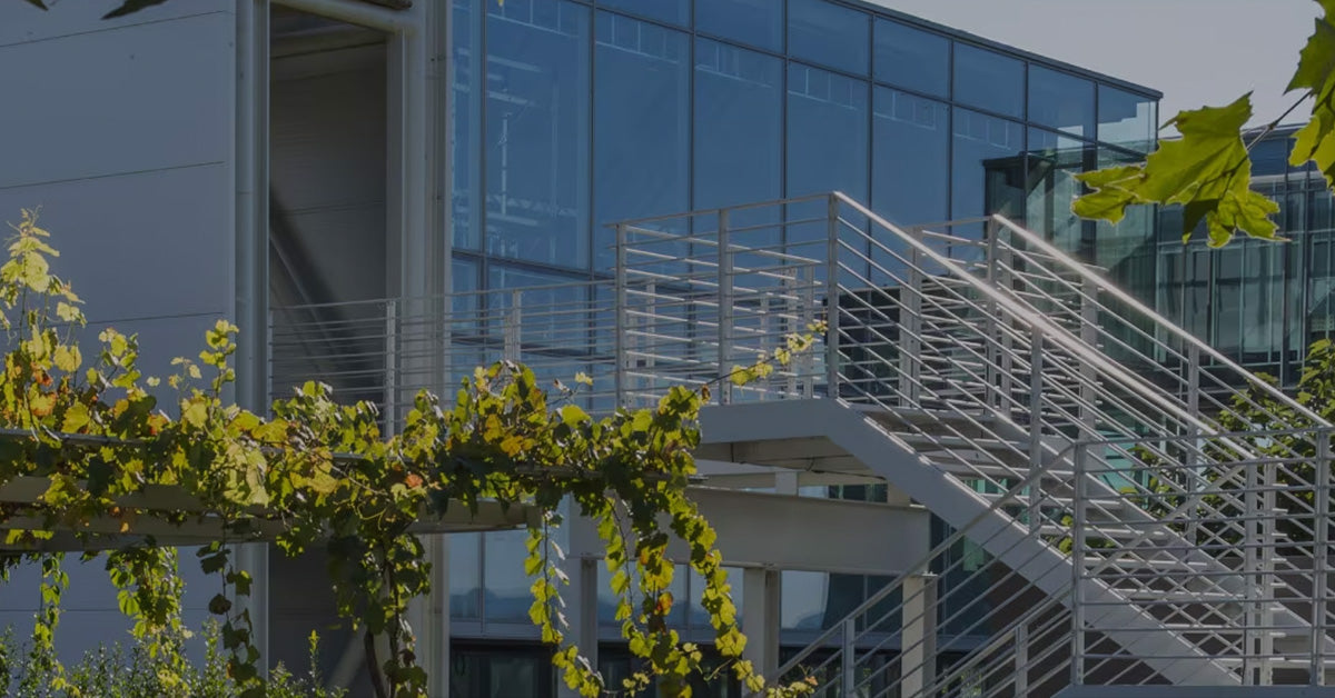 Prada’s €1.3 Billion Gamble: The Battle for Versace’s Soul