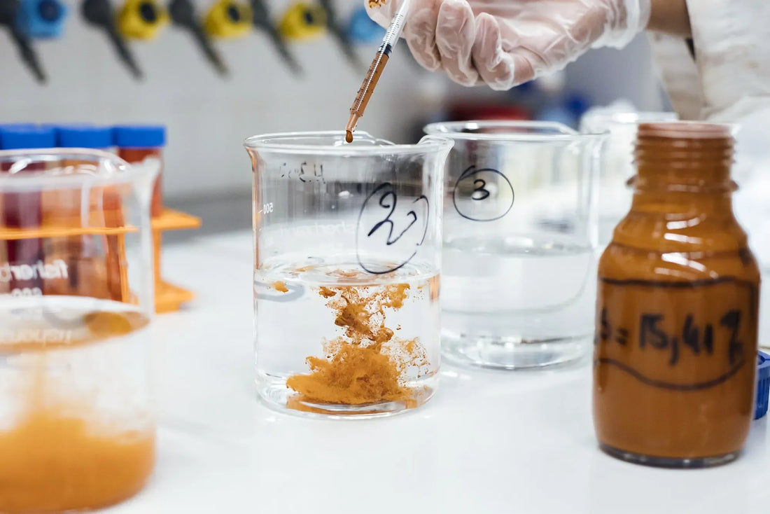 Fashion as the Next Frontier for Clean Tech: Revolutionizing Sustainability in 2025