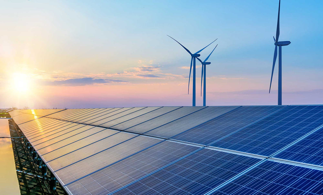 Levi Strauss & Co. Unveils LEAP in India: A Bold Blueprint for Supply Chain Decarbonization