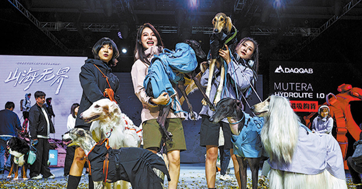 Shanghai’s $96 Billion Pet Revolution: Couture, Culture, and Control