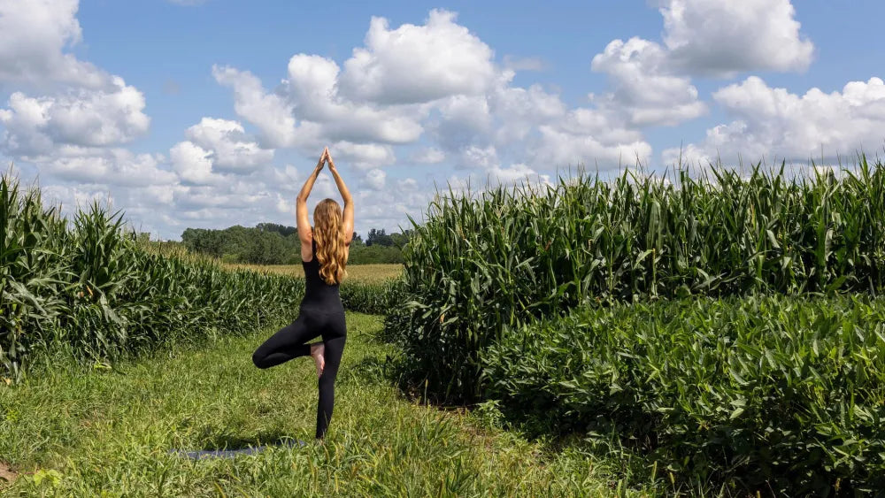 Sustainable Innovation Takes Center Stage: The LYCRA Company and Qore® Revolutionize Textiles