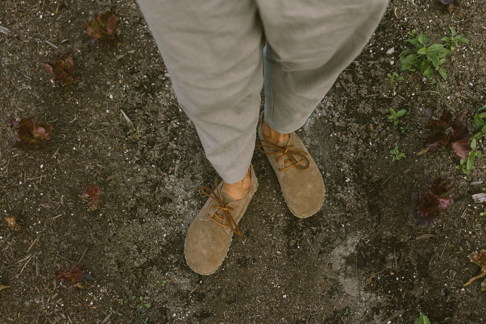 Buy Men's Barefoot Grounding Lace Up Shoe / Earth by Raum