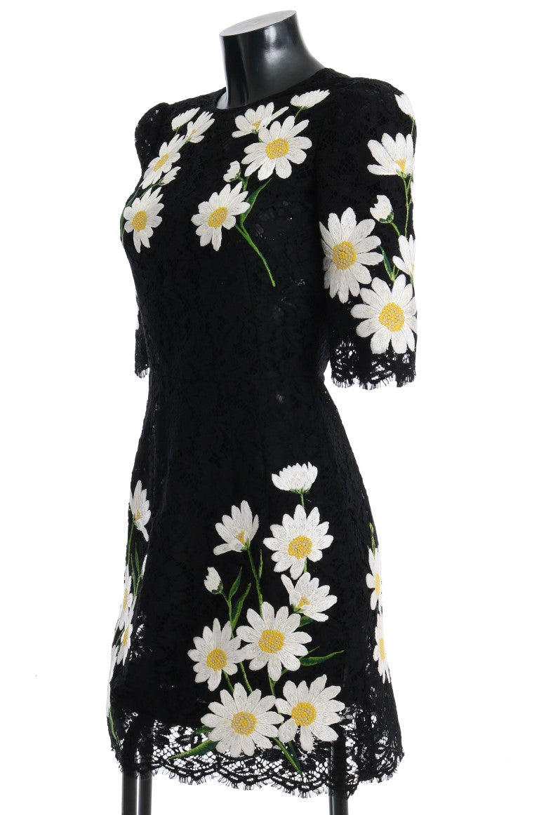 Buy Black Floral Lace Chamomile Embroidered Dress by Dolce & Gabbana