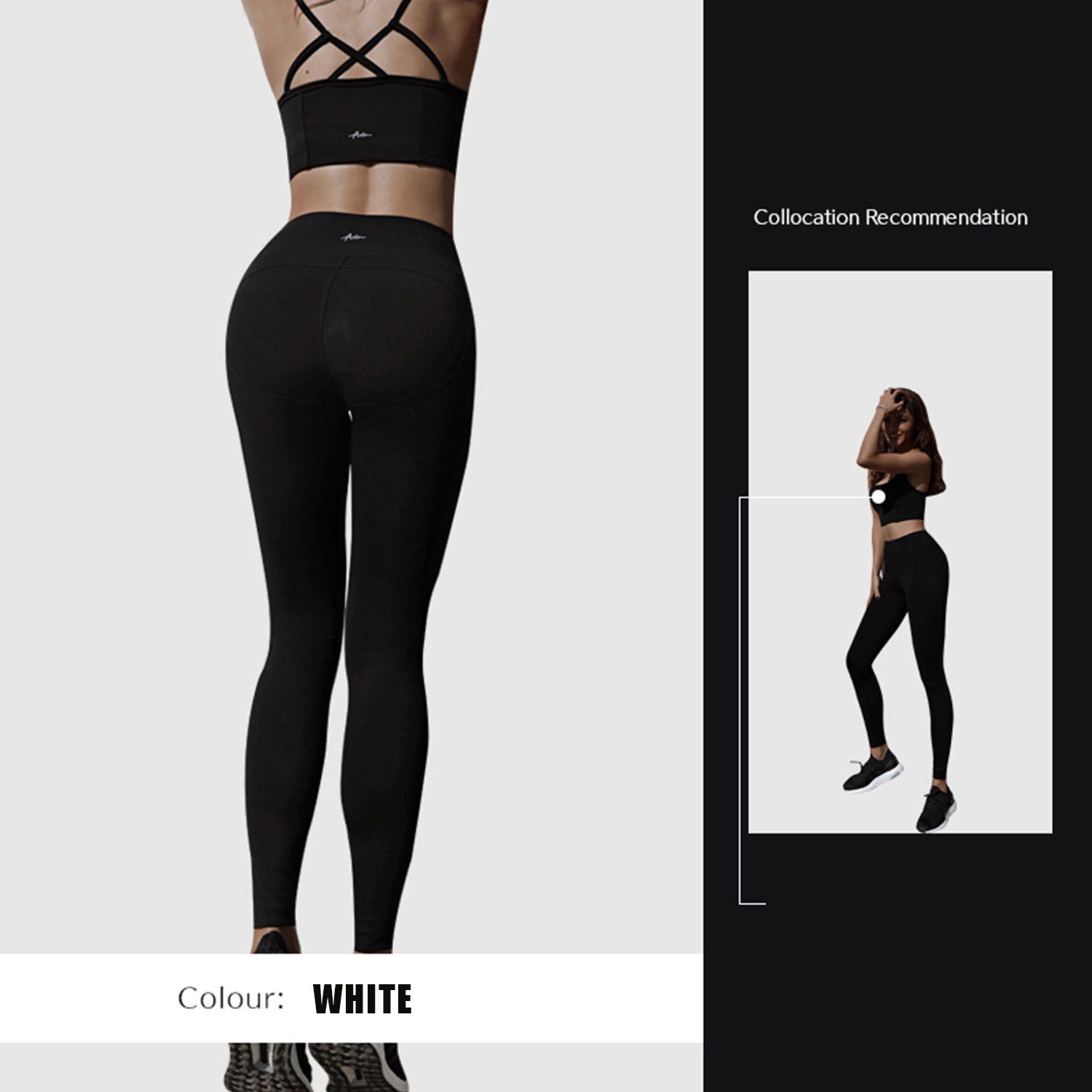 Buy Stretch Yoga Pants by Body404