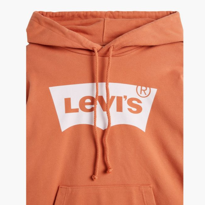 Buy Levis Standard Graphic Hoodie by Levis