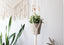 Macrame Plant Hanger