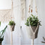 Macrame Plant Hanger